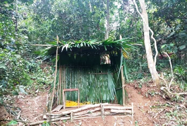 Nhấn vào ảnh để phóng to