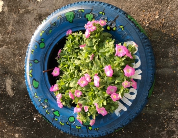 Nhấn vào ảnh để phóng to