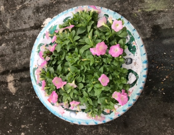 Nhấn vào ảnh để phóng to