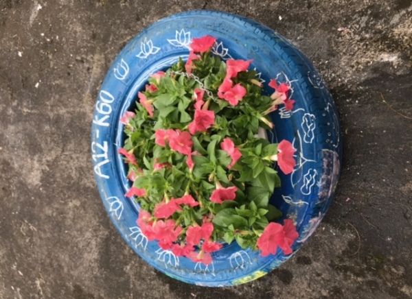 Nhấn vào ảnh để phóng to