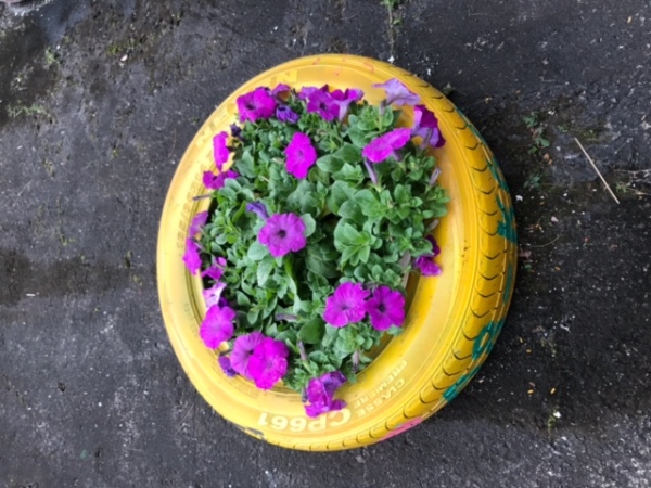 Nhấn vào ảnh để phóng to