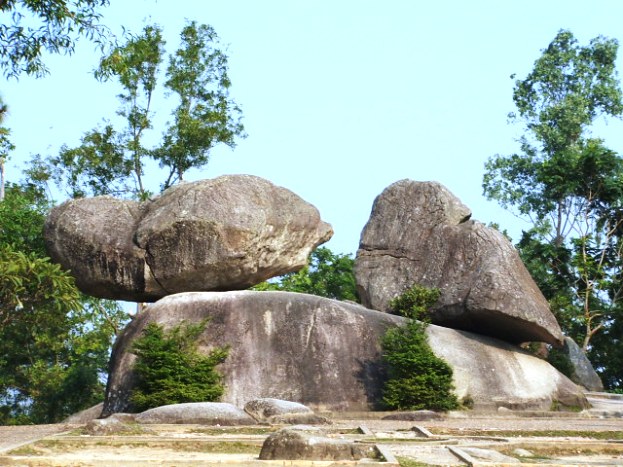 Nhấn vào ảnh để phóng to