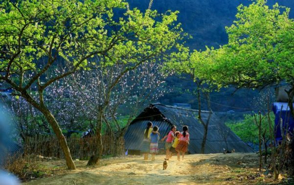 Nhấn vào ảnh để phóng to