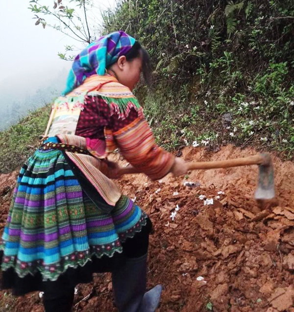 Nhấn vào ảnh để phóng to