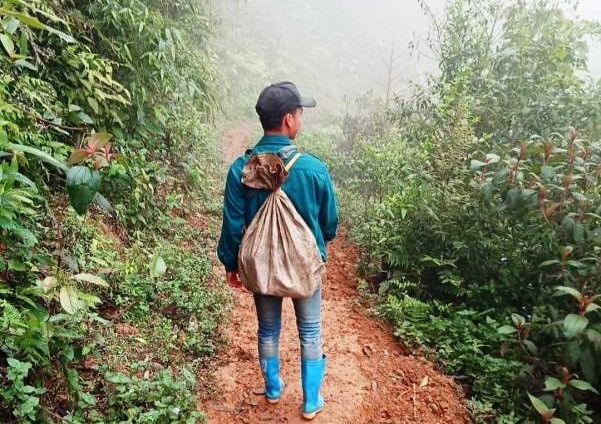 Nhấn vào ảnh để phóng to