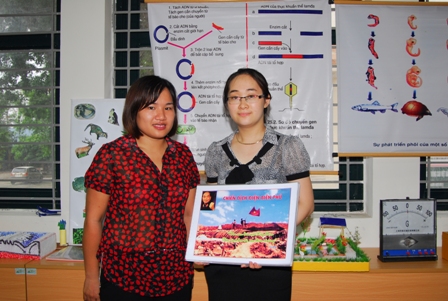 Nhấn vào ảnh để phóng to