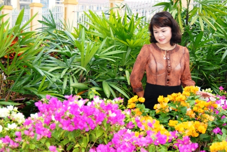 Nhấn vào ảnh để phóng to